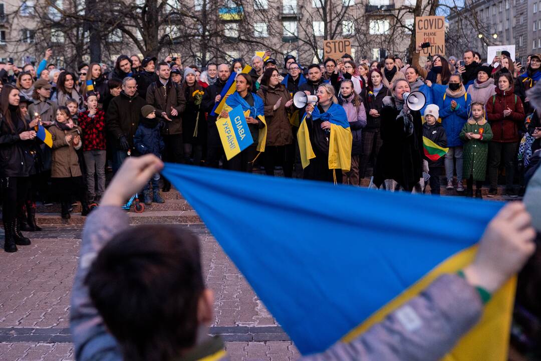 Ukrainos palaikymo akcija prie Seimo