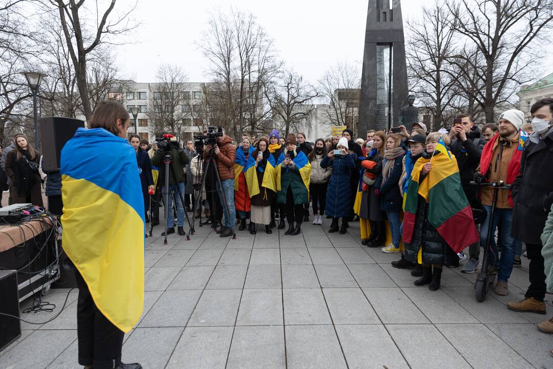Prie Vyriausybės – mitingas palaikyti Ukrainą