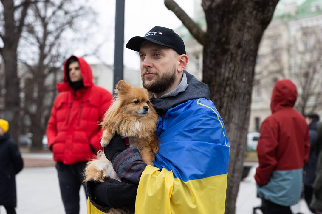 Prie Vyriausybės – mitingas palaikyti Ukrainą