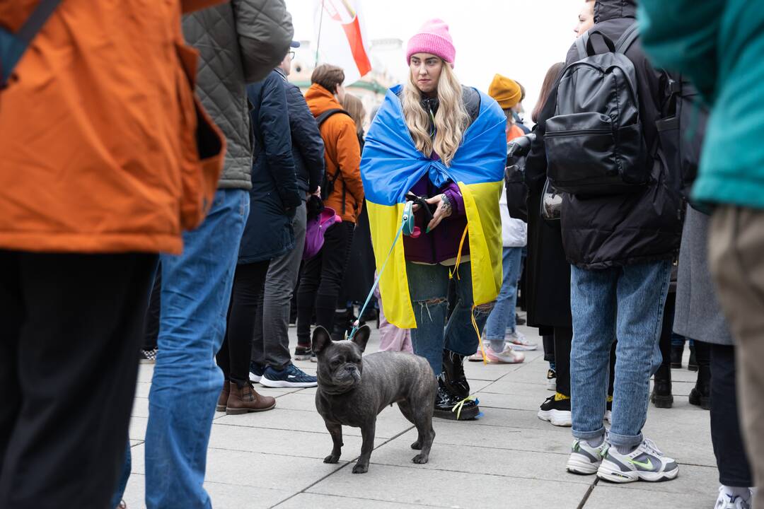 Prie Vyriausybės – mitingas palaikyti Ukrainą