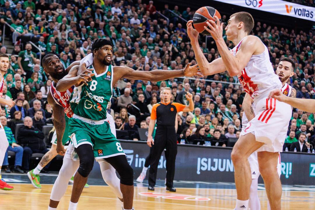 Eurolyga: Kauno „Žalgiris“ – Belgrado  „Crvena zvezda“ 71:66