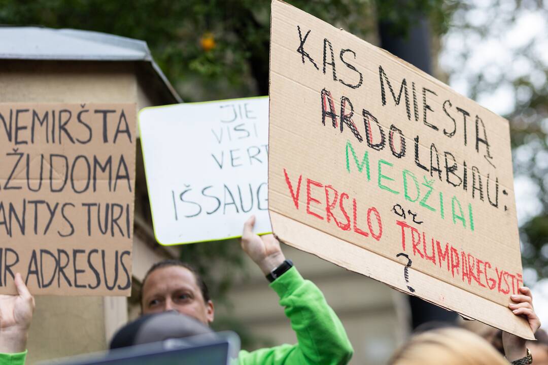 Protestas del medžių J. Basanavičiaus gatvėje