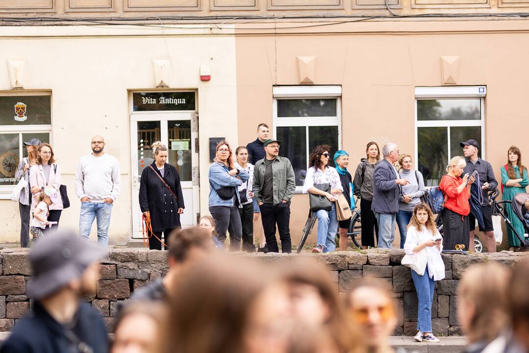 Protestas del medžių J. Basanavičiaus gatvėje