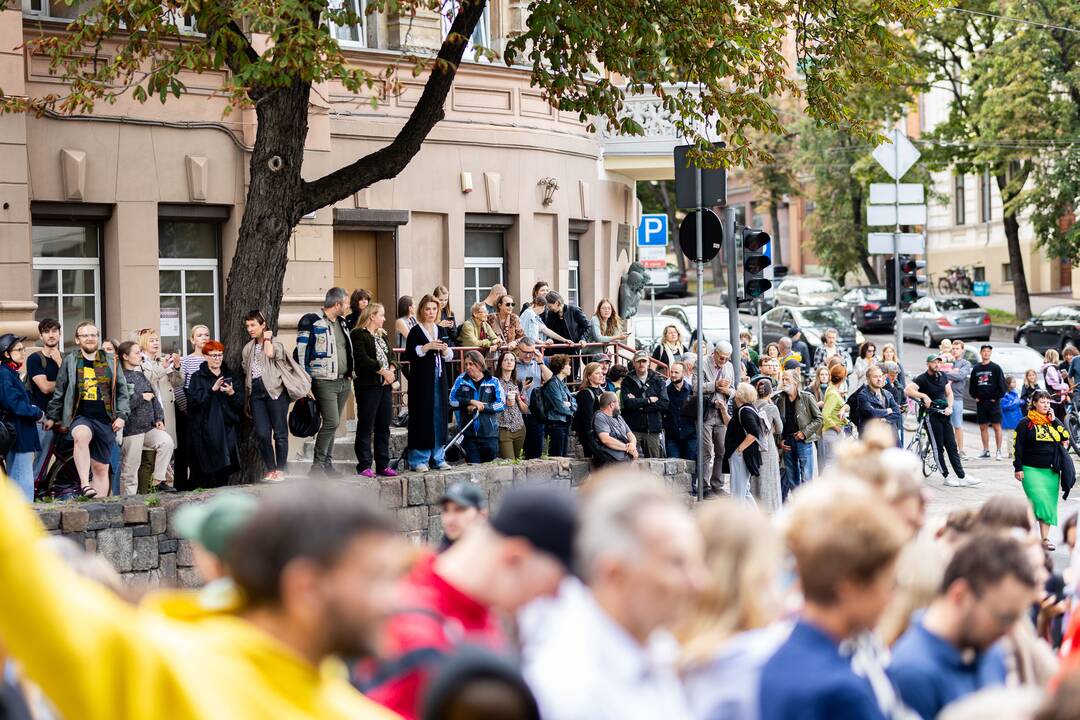 Protestas del medžių J. Basanavičiaus gatvėje