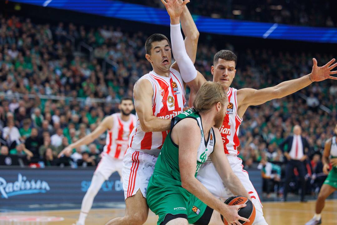 Eurolyga: Kauno „Žalgiris“  –  Belgrado „Crvena Zvezda“ 79:74