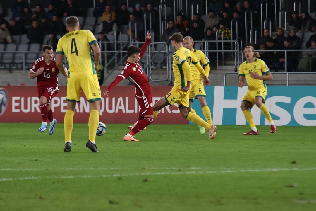 Europos futbolo čempionato atranka: Lietuva – Vengrija 2:2