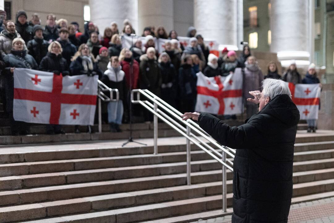 Protestuojančių kartvelų palaikymo akcija Vilniuje