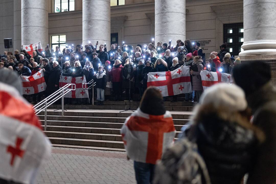 Protestuojančių kartvelų palaikymo akcija Vilniuje