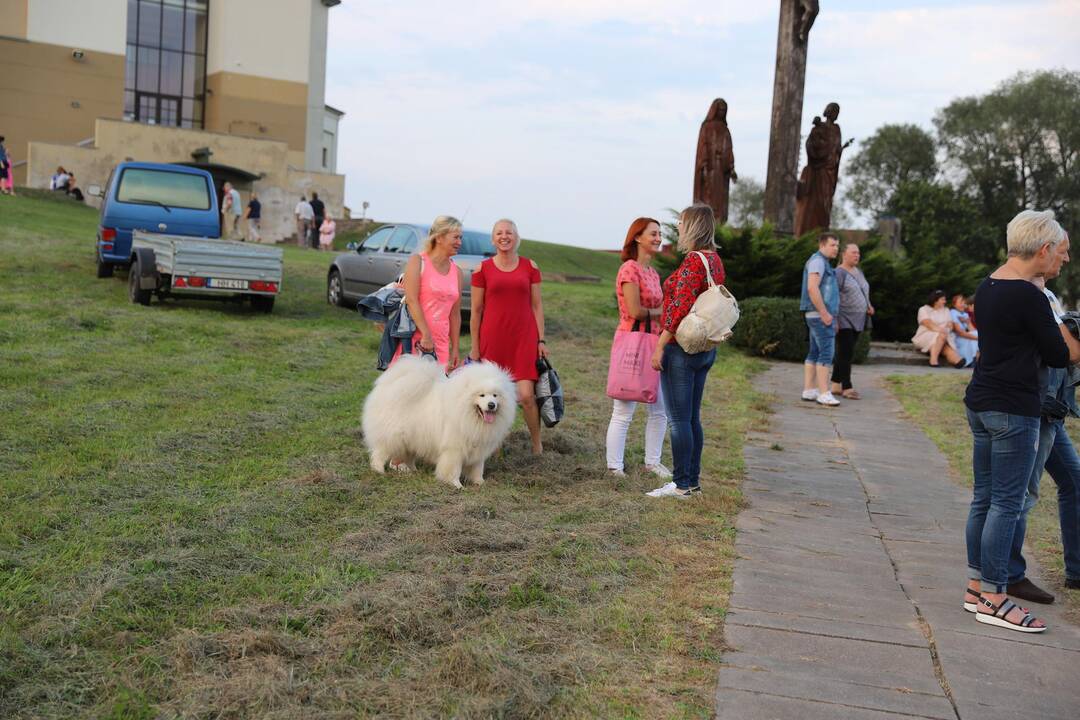 Bendruomenės šventė Domeikavoje