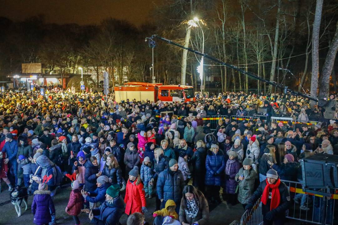 Palangos eglės įžiebimo šventė