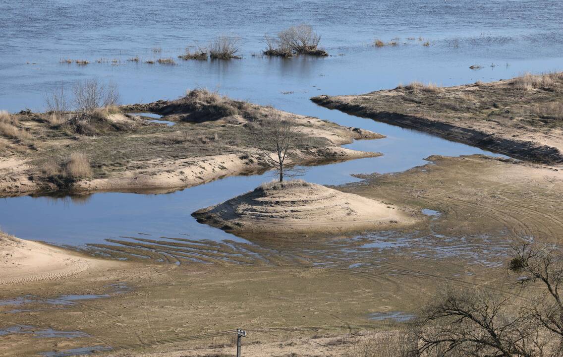 Sklandytojų kalva Netoniuose