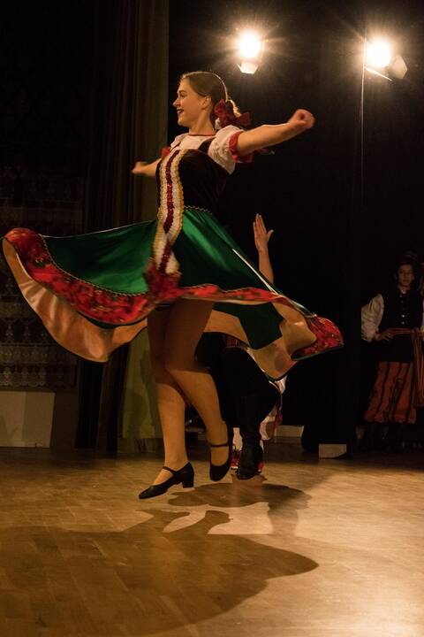 Liaudies šokių festivalis