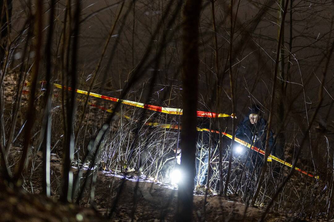 15-mečio vilniečio dingimas: pirmadienio pavakarę paupyje aptikta svarbių radinių