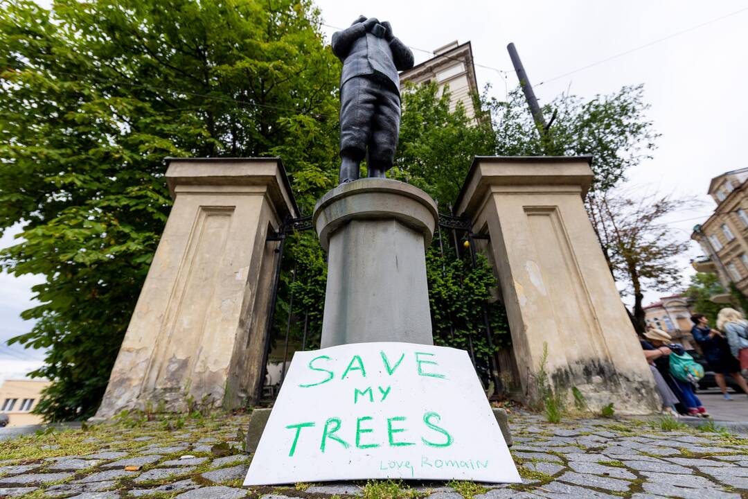 Protestas del medžių J. Basanavičiaus gatvėje