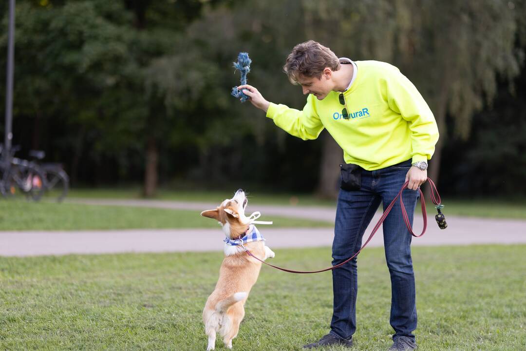 Korgių lenktynės Vingio parke