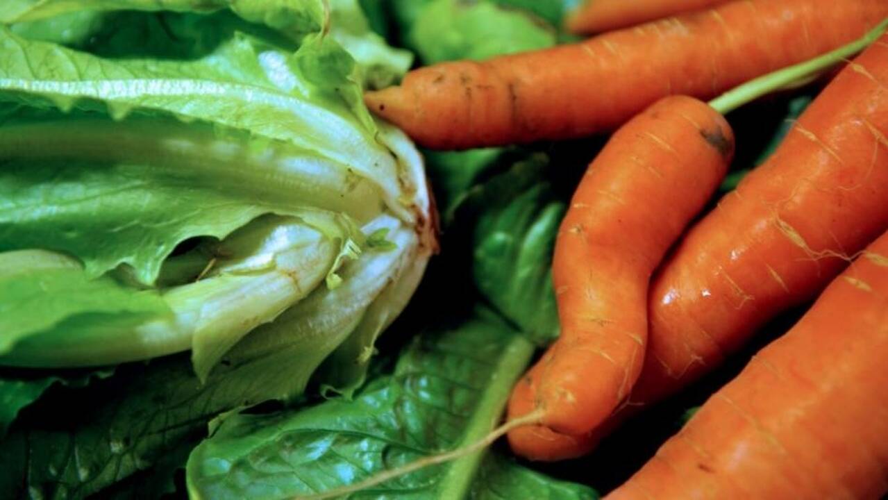 Mažindama maisto švaistymą viešbučių grupė augins savo daržoves
