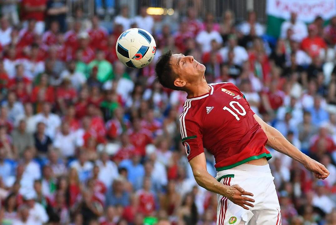 Euro 2016: Portugalija - Vengrija 3:3