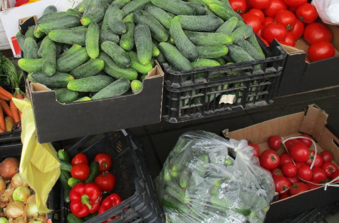 Visos šios gėrybės kainavo tik 12,90 euro