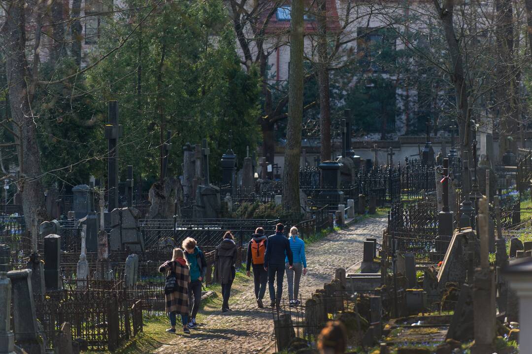 Bernardinų kapinėse pražydo gėlės