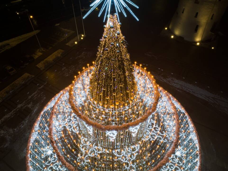 Sostinės Katedros aikštėje įžiebta Kalėdų eglė