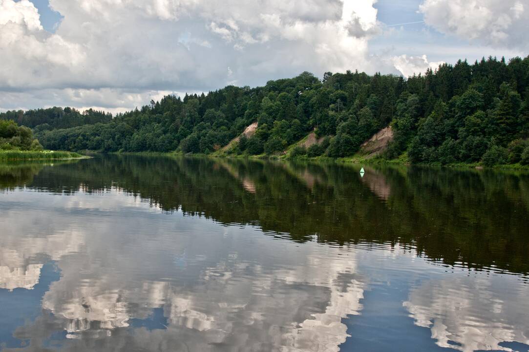 Kraujasiurbius mašalus Nemune naikina biologiniu preparatu iš JAV