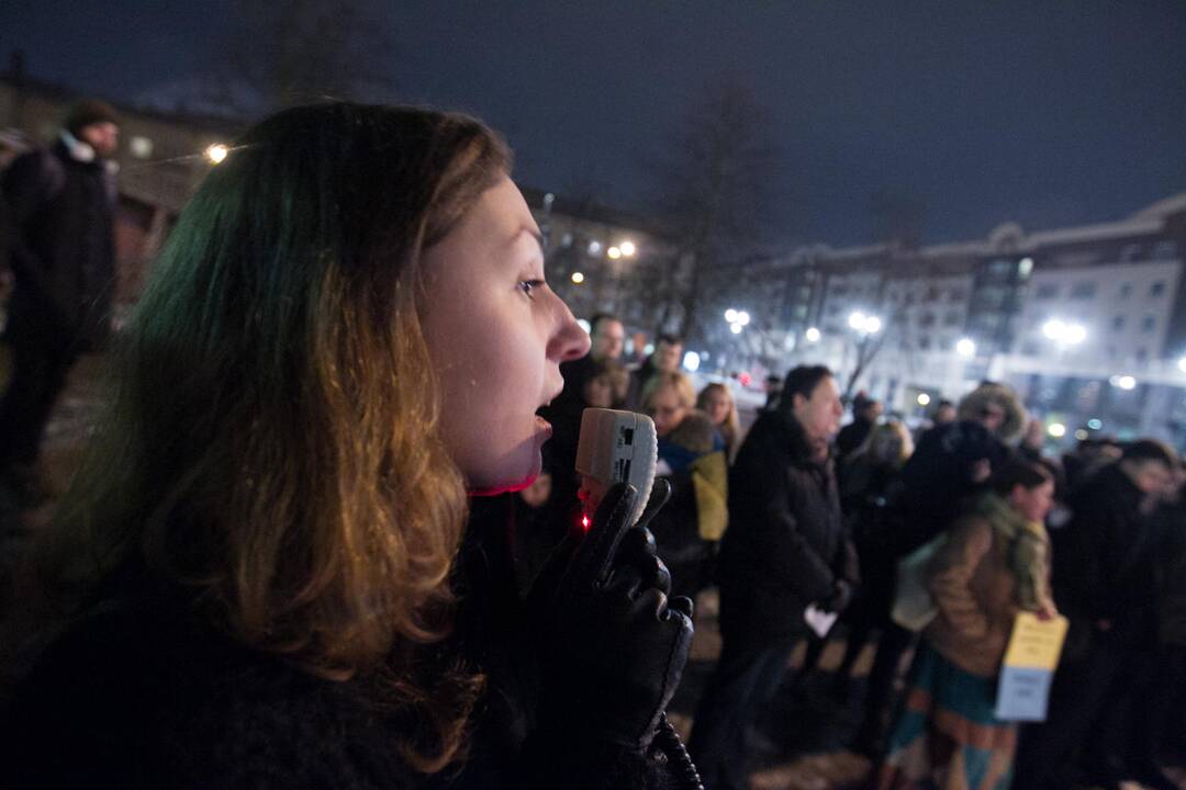 Ukrainos palaikymo akcija Vilniuje