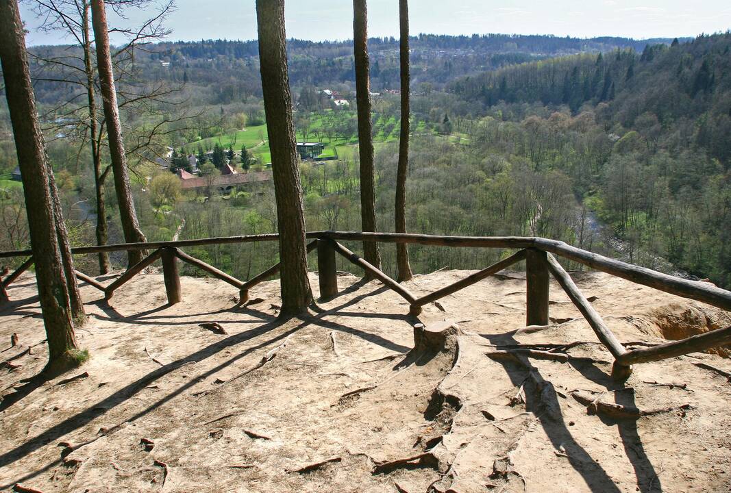 Pučkorių pažintinis takas Pavilnių regioniniame parke