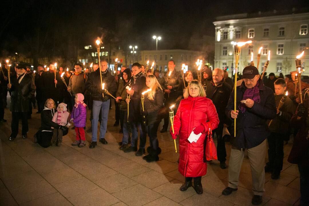 Lietuvos tautinio jaunimo sąjungos eisena