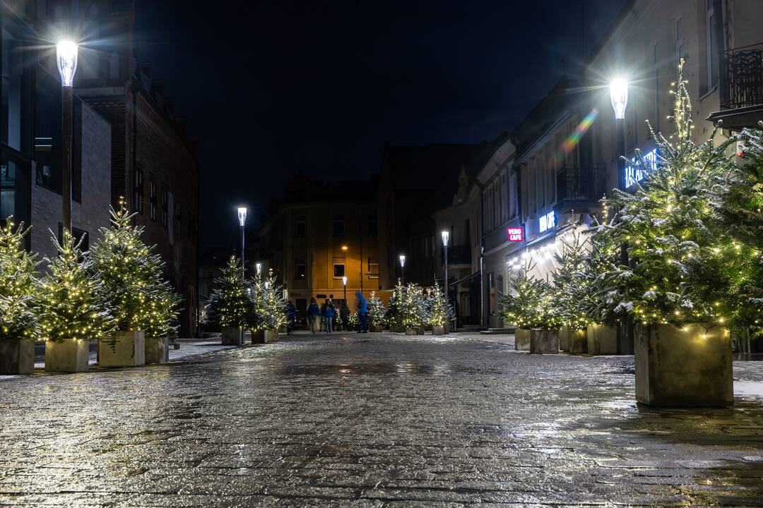 Kauną apgaubė kalėdinė magija