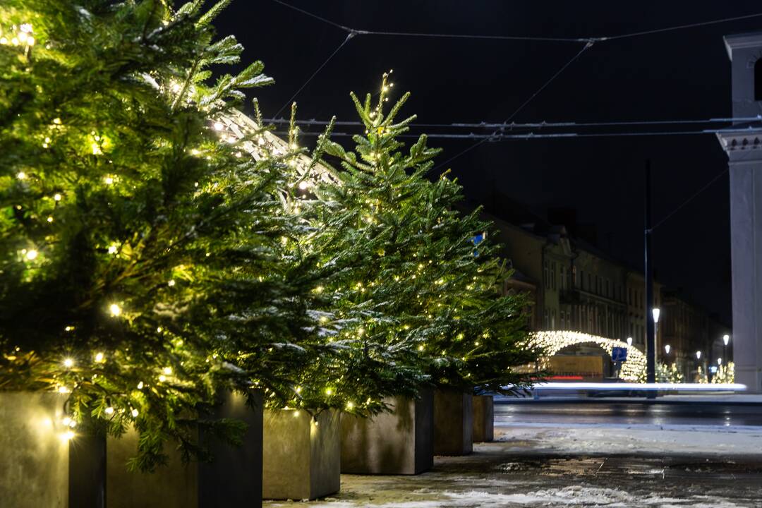 Kauną apgaubė kalėdinė magija