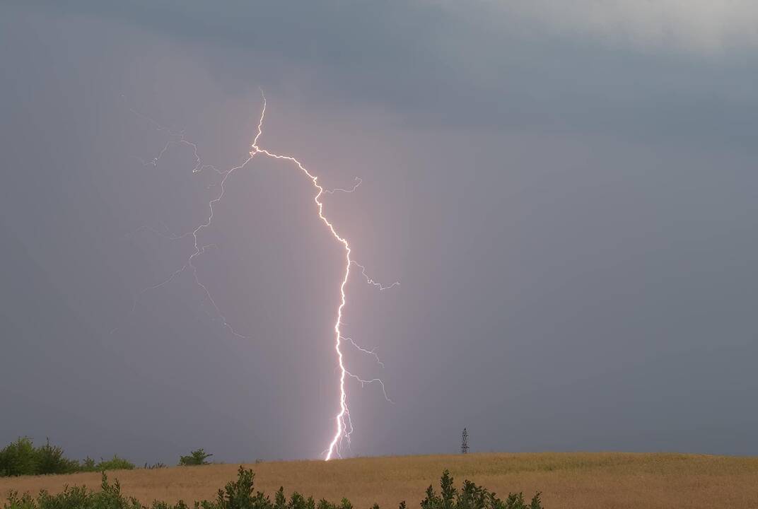 Juodkrantė