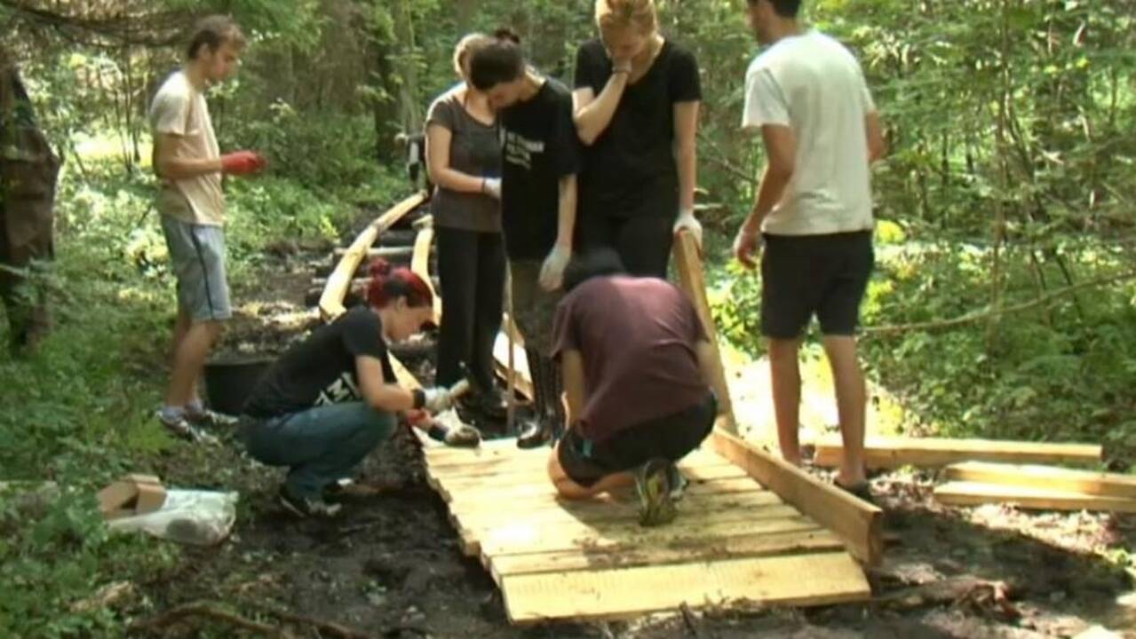 Atvykėliai iš užsienio prisideda prie Tytuvėnų regioninio parko gražinimo
