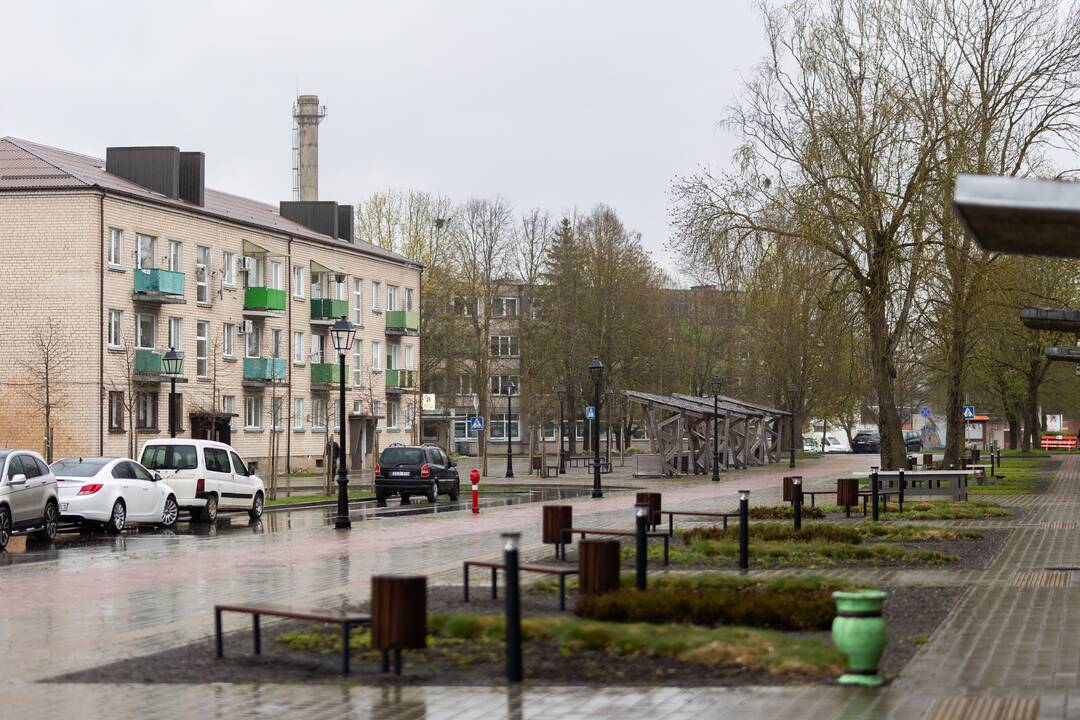 Baisogala ir jos apylinkės, kur planuojama statyti „Rheinmetall“ gamyklą
