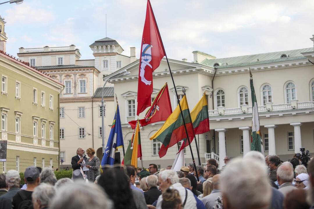 Mitingas S. Daukanto aikštėje
