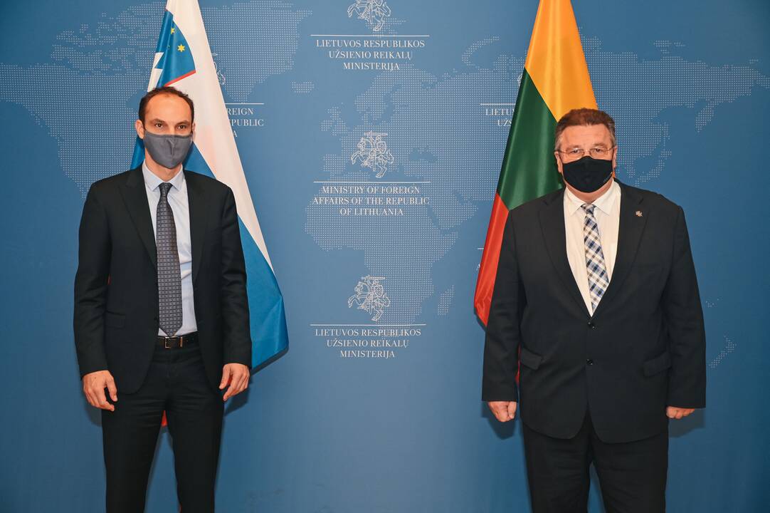 Anže Logaras ir Linas Linkevičius