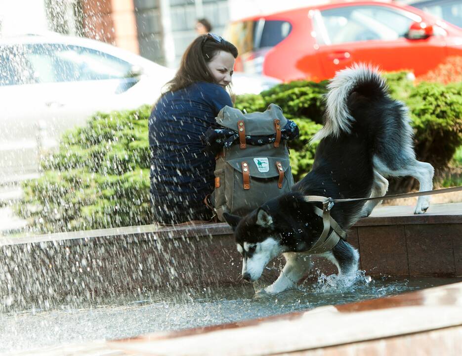Ateinanti savaitė žada gaivesnius orus