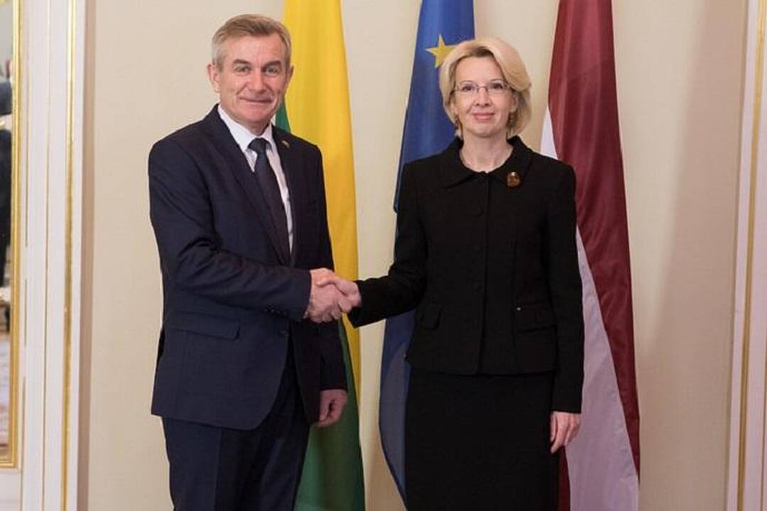 Viktoras Pranckietis (kairėje) ir Raimondas Vėjuonis