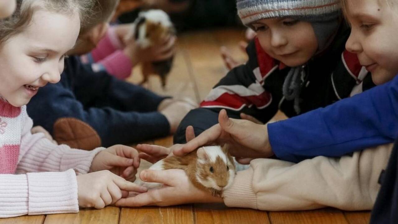 Moksleiviai iš Luhansko pažintį su Europa pradės Lietuvoje