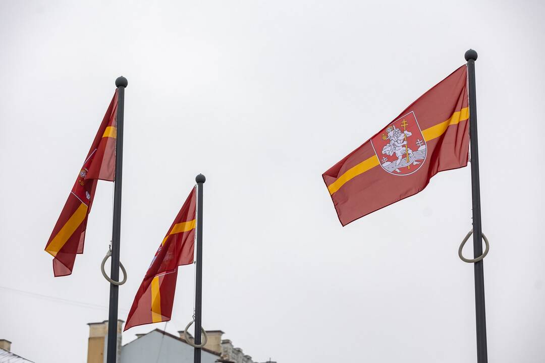 Vilnius švenčia 699 -ąjį gimtadienį