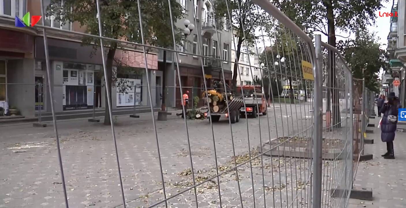 Šiauliuose – dviguba medžių gynėjos pergalė