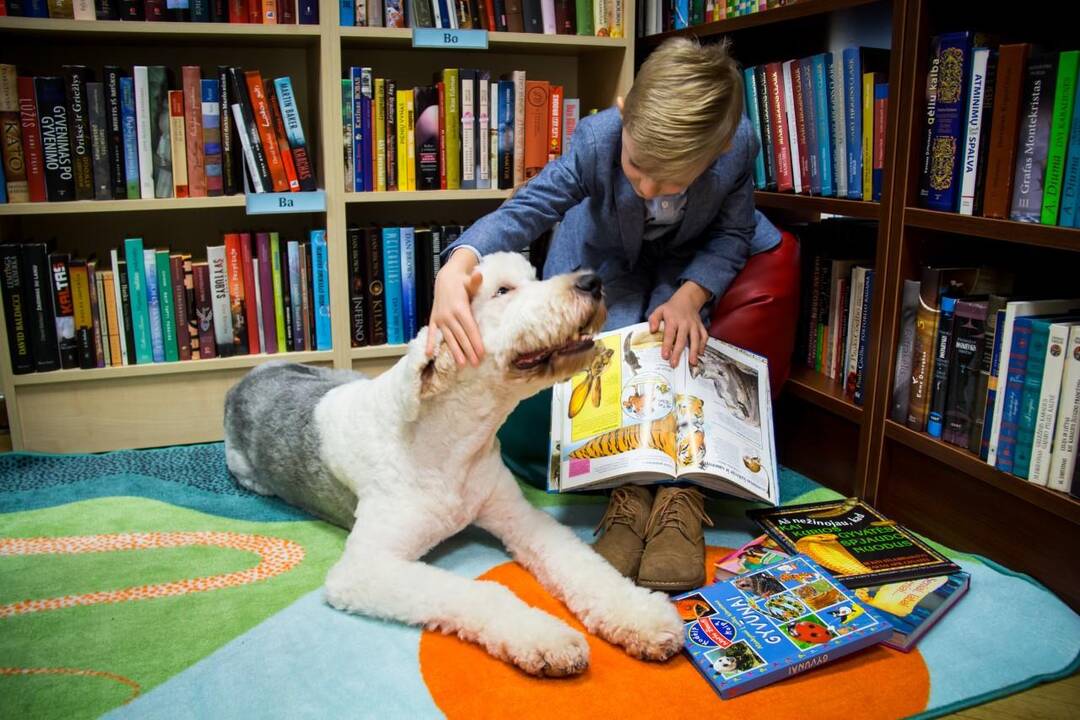 Kauno V. Kudirkos viešojoje bibliotekoje prasideda skaitymai su šunimi