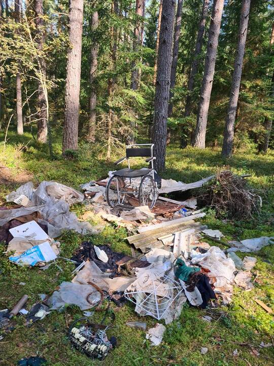 Lietuvoje įvyko talka „Miško kuopa“