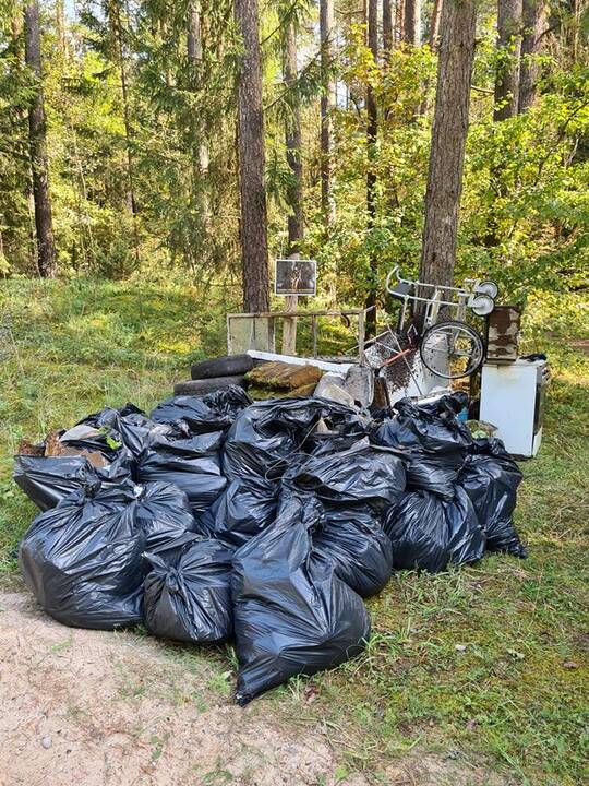 Lietuvoje įvyko talka „Miško kuopa“