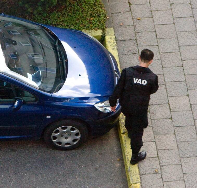 Vyriausybė nori biudžetinių įstaigų automobilius perduoti vienos institucijos žinion