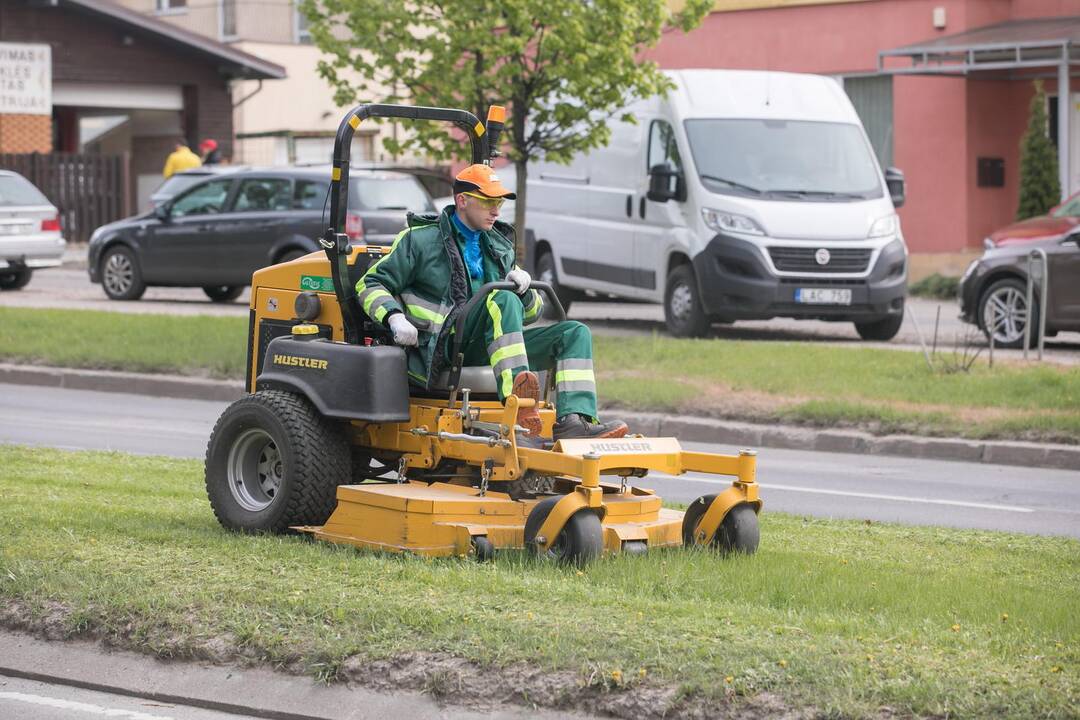 Vilniuje prasidėjo žolės šienavimas
