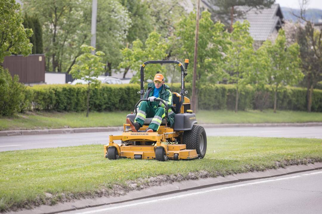 Vilniuje prasidėjo žolės šienavimas