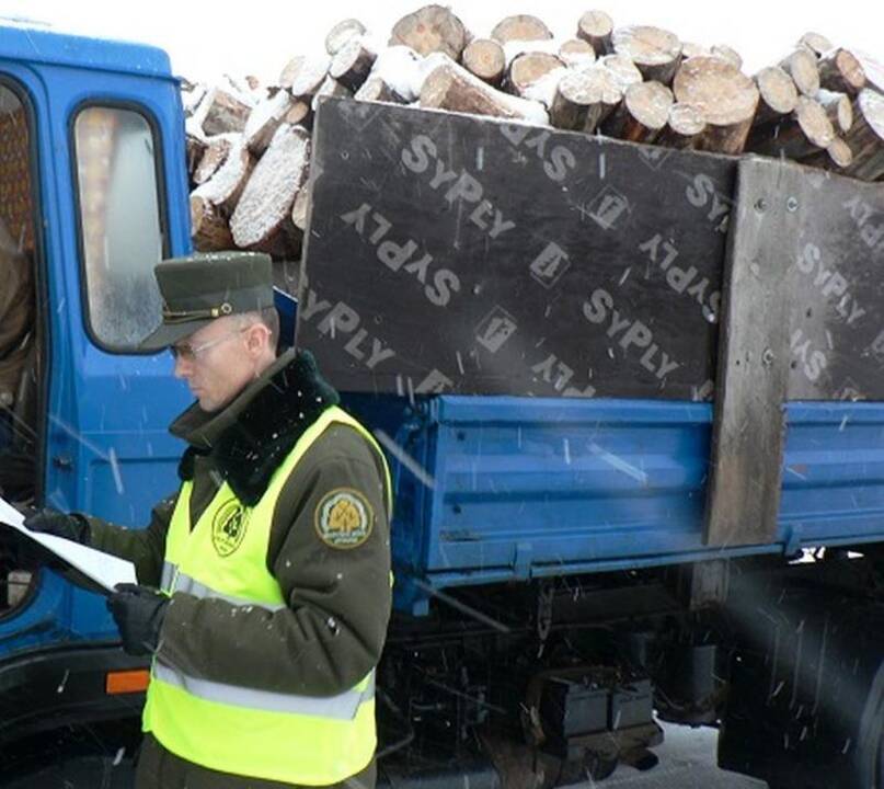 Dvi savaites šalies miškai buvo tarsi po padidinamuoju stiklu