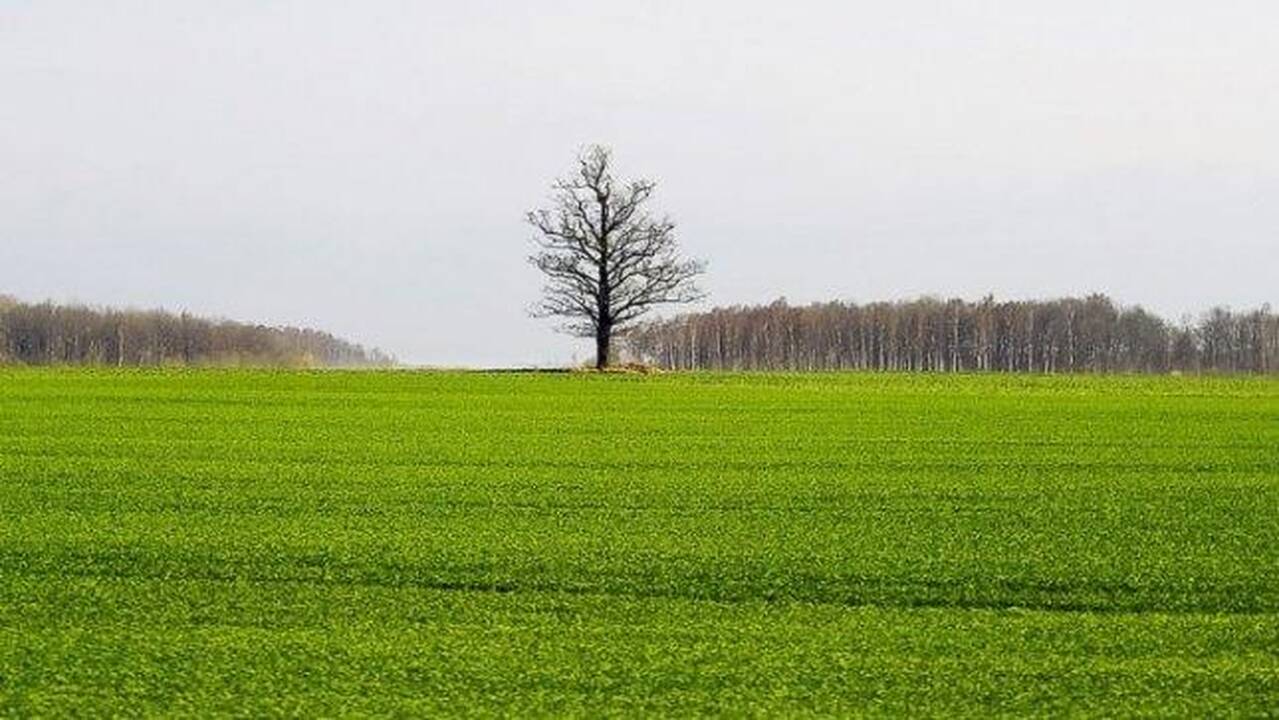 Daliai Ignalinos rajono sklypų savininkų teks tikslinti žemės mokesčio deklaracijas