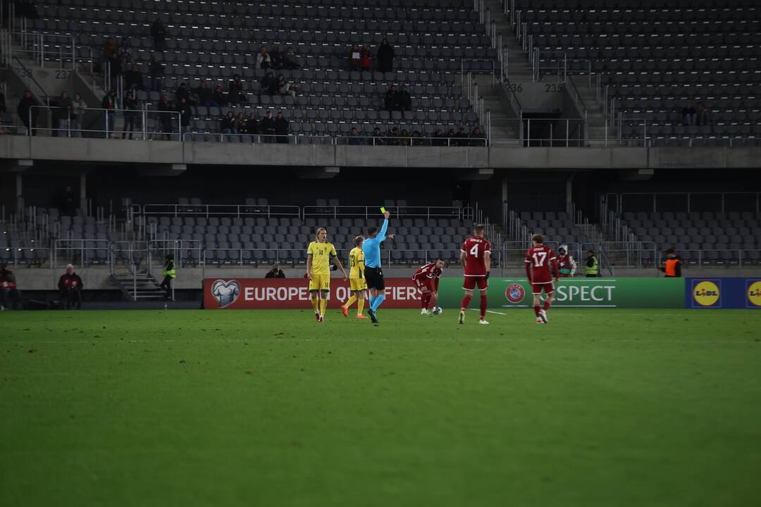 Europos futbolo čempionato atranka: Lietuva – Vengrija 2:2