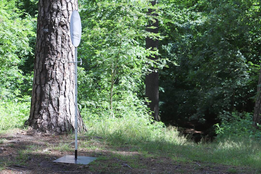 Panemunės festivalis "Pojūčių šilas"